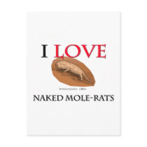 I Love Naked Mole-Rats Postcard