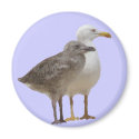 I love nature - digital drawing magnets