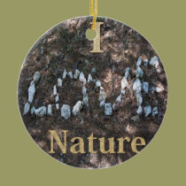I Love Nature Ornament ornaments