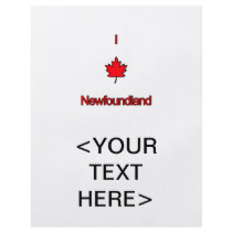 I Love Newfoundland Flyer