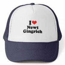 I Love Newt Gingrich hats