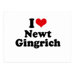I LOVE NEWT GINGRICH POST CARDS