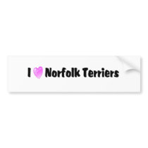 I Love Norfolk Terriers bumper stickers