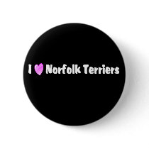 I Love Norfolk Terriers buttons