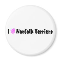 I Love Norfolk Terriers magnets by mrscookiedog I Love Norfolk Terriers magnets