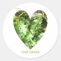 I Love Oak Trees Sticker