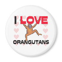 I Love Orangutans magnets