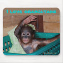 I Love Orangutans mousepads