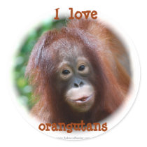 I love orangutans stickers by Rebecca_Reeder I love orangutans stickers