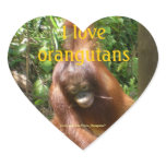 I Love Orangutans stickers