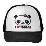 panda, pandas, bear, bears, wild