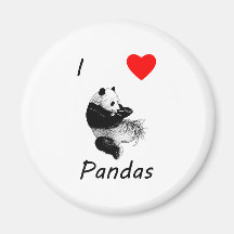 I Love Pandas Magnets