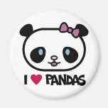 panda, pandas, bear, bears, wild