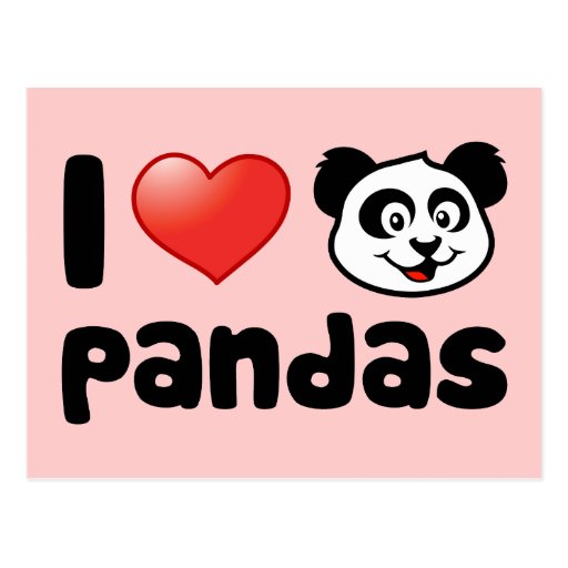 i love you panda teddy