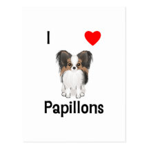 I Love Papillons (picture) Postcards