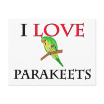 I Love Parakeets postcards by tshirtshirts I Love Parakeets postcards