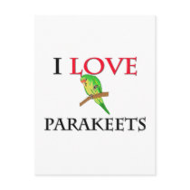 I Love Parakeets postcards by tshirtshirts I Love Parakeets postcards