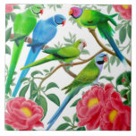 I Love Parakeets Tile
