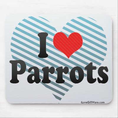 love parrots