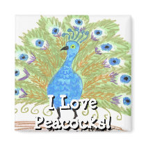 I Love Peacocks! magnets