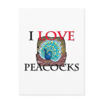 I Love Peacocks postcards