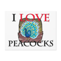 I Love Peacocks postcards