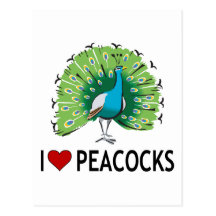 I Love Peacocks Postcard