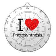 I Love Photosynthesis Dart Board