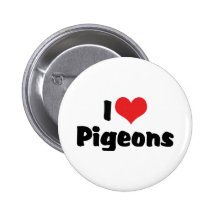 I Love Pigeons Buttons