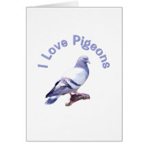 I Love Pigeons Greeting Card