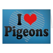 I Love Pigeons Greeting Cards