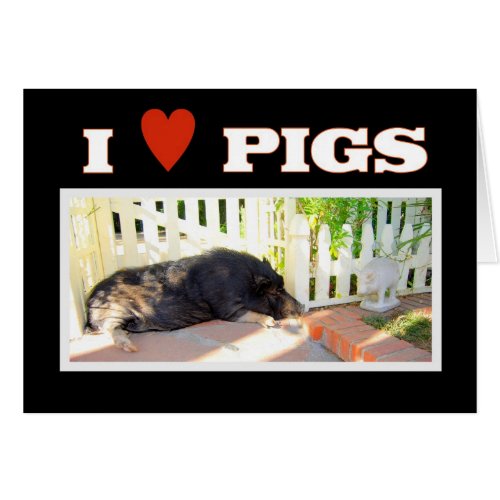 I love Pigs card