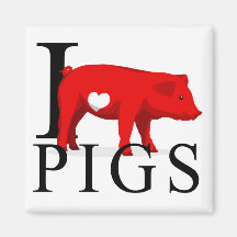 I Love Pigs Magnets