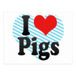 I Love Pigs Post Card