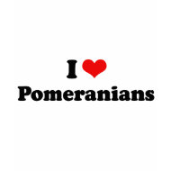 I Love Pomeranians shirt
