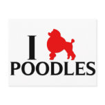 I Love Poodles Postcard