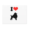 I Love Poodles postcards