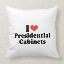 I LOVE PRESIDENTIAL CABINETS - .png Pillow