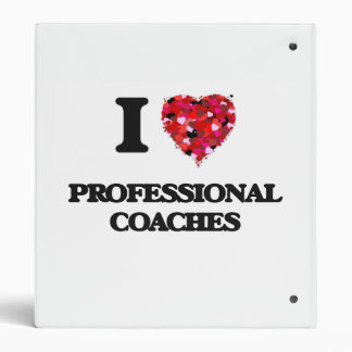 coach classic vinal