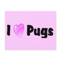 I Love Pugs postcards
