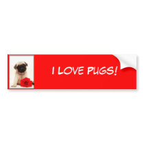 I Love pugs Pug puppy bumper sticker bumper stickers by ritmoboxer I Love pugs Pug puppy bumper sticker bumper stickers