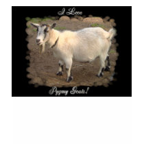 I Love Pygmy Goats ladies T-Shirt by quacked I Love Pygmy Goats ladies T-Shirt
