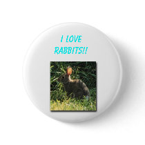 I love Rabbits!! buttons