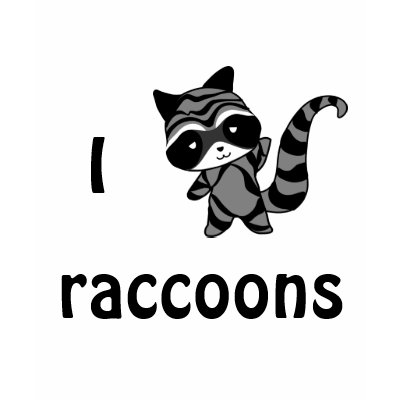 I love raccoon T-shirt by anacletocold