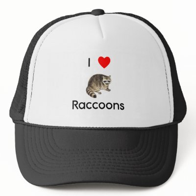 I Love Raccoons