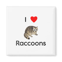 I love raccoons Magnet