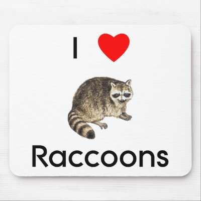 I Love Raccoons