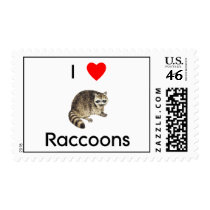 I love raccoons Postage