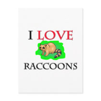I Love Raccoons postcards