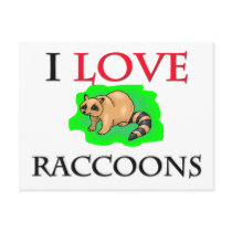 I Love Raccoons postcards